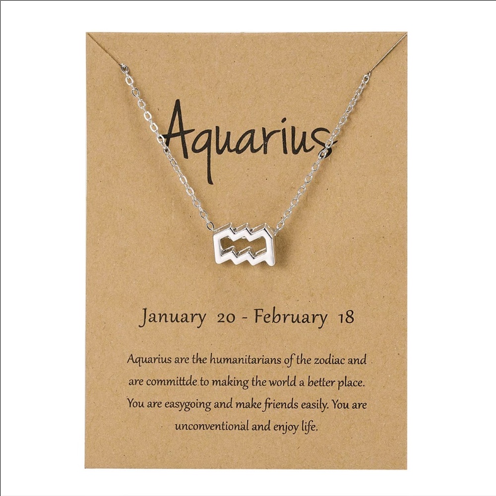Aquarius zodiac charm necklace